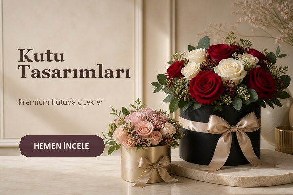 Kutu Tasarımları
