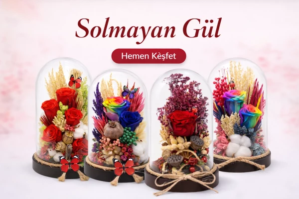 Solmayan Gül Tasarımları
