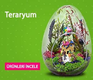 Terrarium