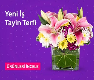 Yeni iş