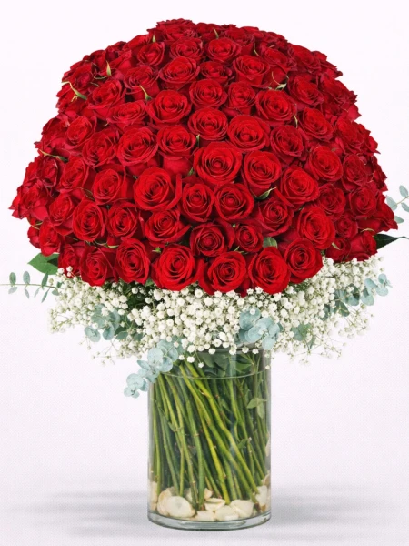 100 Kırmızı Gül Aranjmanı -  Salonofisbitkileri - Açelya Çiçek