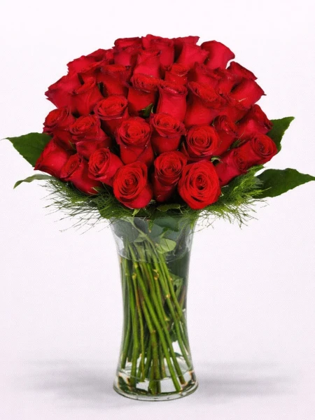 41 Kırmızı Gül Aranjmanı - Lilyum Siparişi -  Salonofisbitkileri - Açelya Çiçek