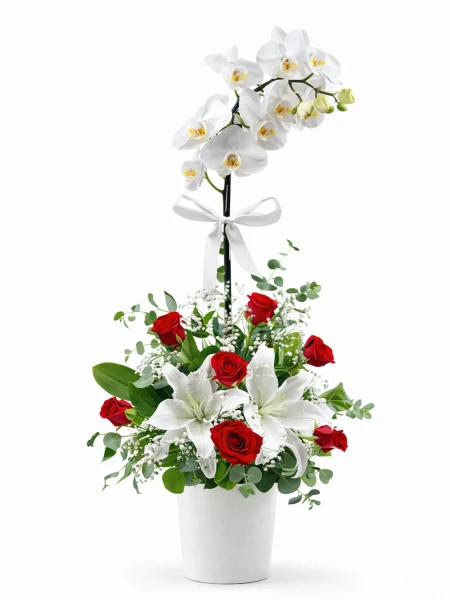 Beyaz Orkide Beyaz Kırmızı Aranjman -  Salonofisbitkileri - Açelya Çiçek