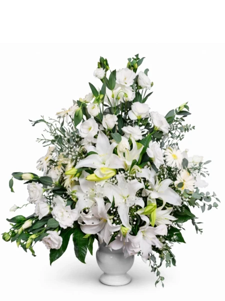 Beyaz Prenses Aranjmanı -  Salonofisbitkileri - Açelya Çiçek