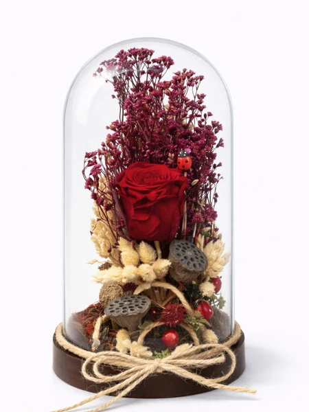 Kırmızı Solmayan Gül -  Salonofisbitkileri - Açelya Çiçek