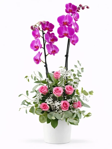 Mor Orkide Pembe Aranjman -  Salonofisbitkileri - Açelya Çiçek
