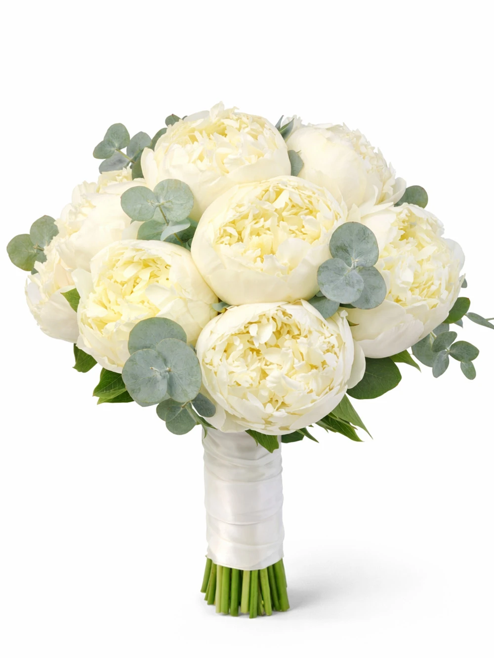 10 Beyaz Şakayık Gelin Çiçeği - salon-ofis-bitkileri - Açelya Çiçek