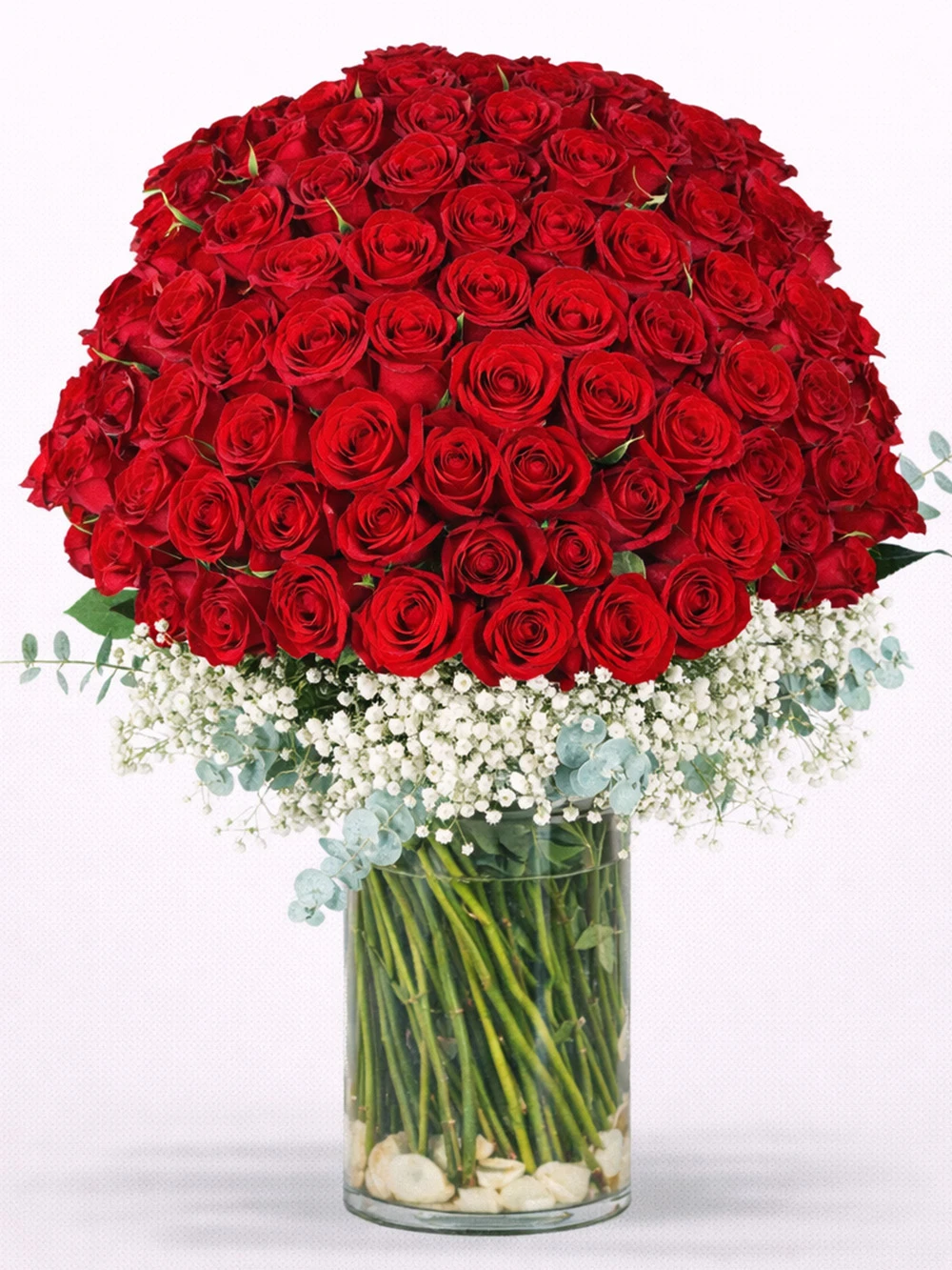 100 Kırmızı Gül Aranjmanı - salon-ofis-bitkileri - Açelya Çiçek