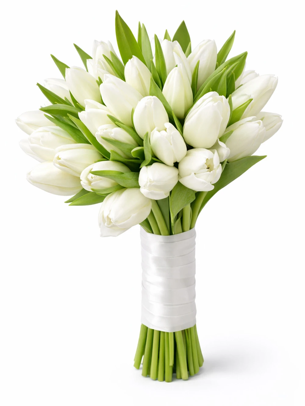 20 Beyaz Lale Gelin Çiçeği - salon-ofis-bitkileri - Açelya Çiçek