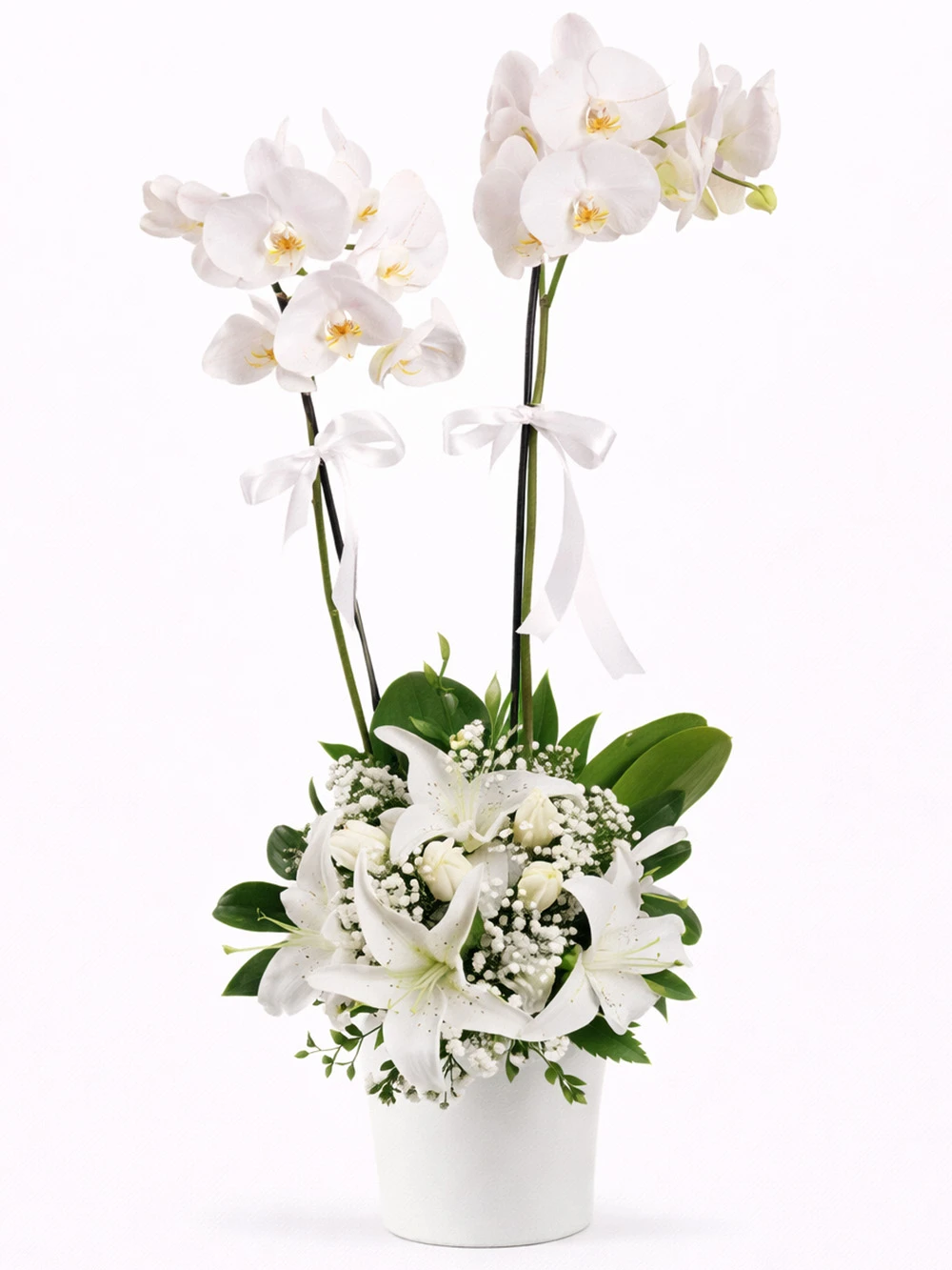 Beyaz Orkide Beyaz Aranjman - salon-ofis-bitkileri - Açelya Çiçek