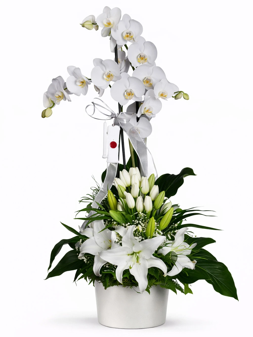 Beyazların Buluşması Orkide Aranjman - salon-ofis-bitkileri - Açelya Çiçek