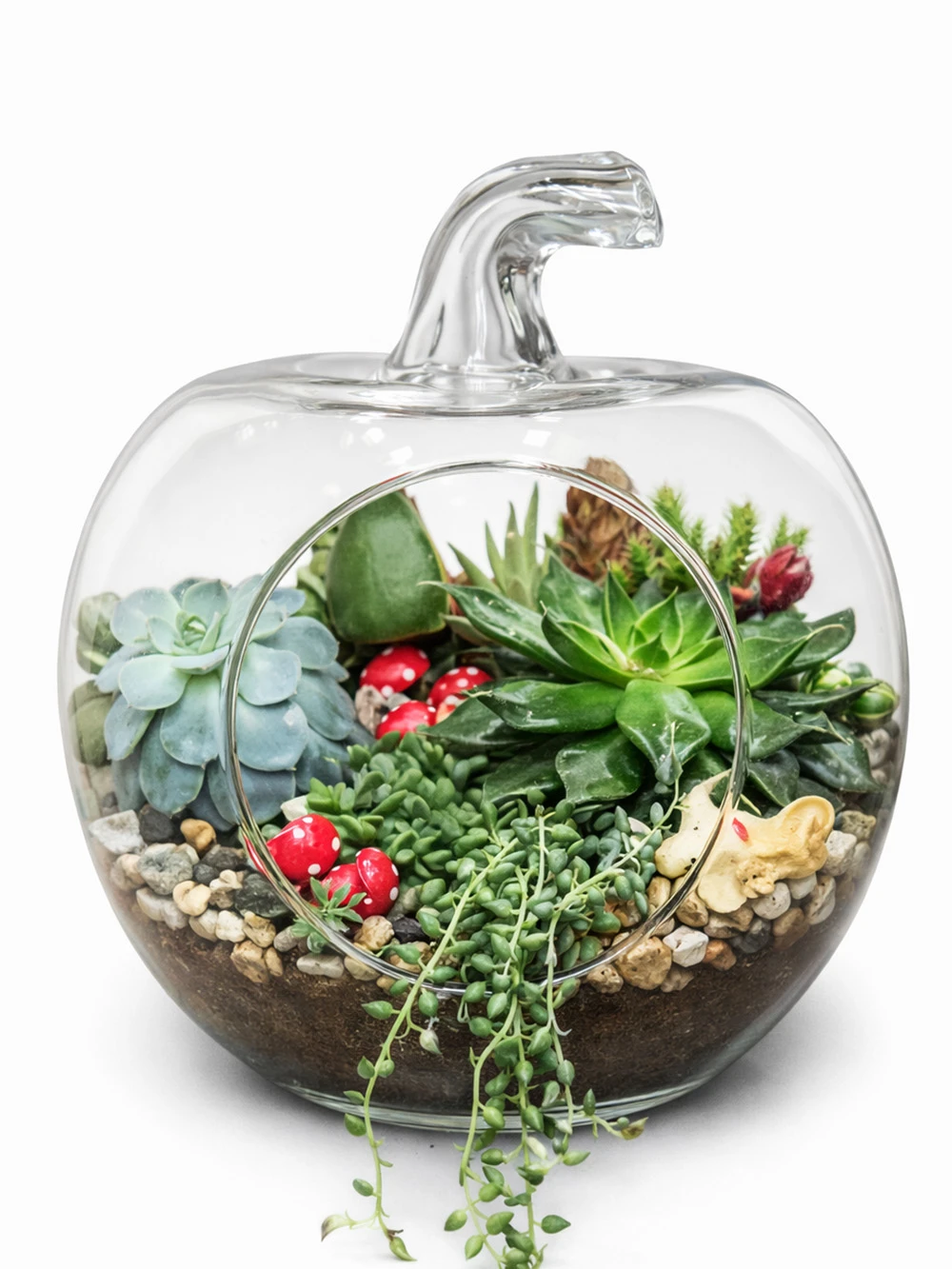 Elma Tasarım Terrarium - salon-ofis-bitkileri - Açelya Çiçek