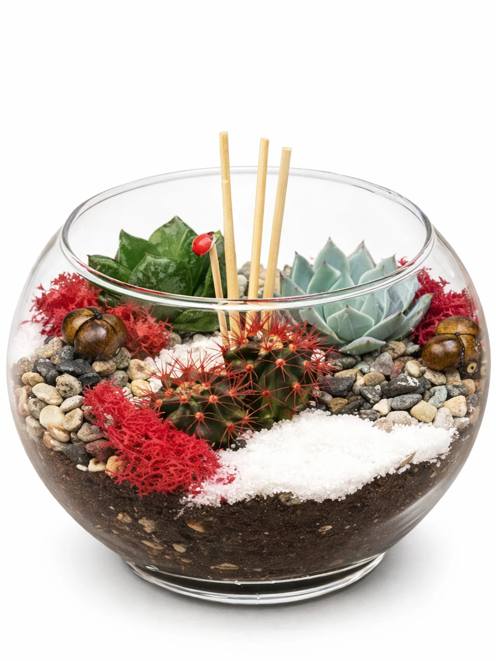 Fanus Mini Bahçe - salon-ofis-bitkileri - Açelya Çiçek