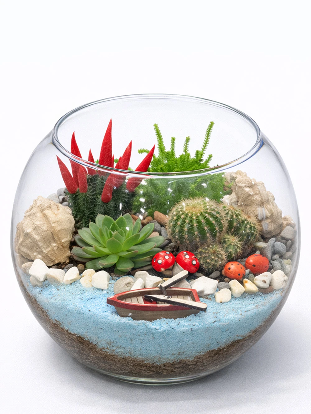 Fanus Terrarium - salon-ofis-bitkileri - Açelya Çiçek