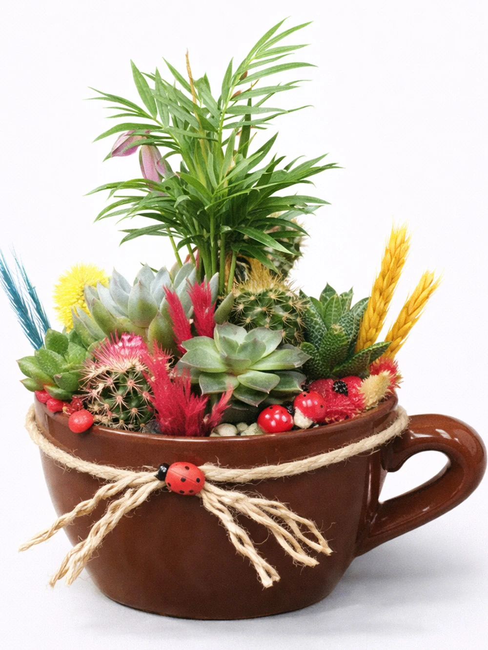 Fincan Mini Bahçe - salon-ofis-bitkileri - Açelya Çiçek