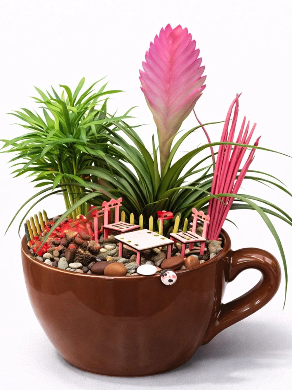 Fincan Tillandsia Mini Bahçe - salon-ofis-bitkileri - Açelya Çiçek