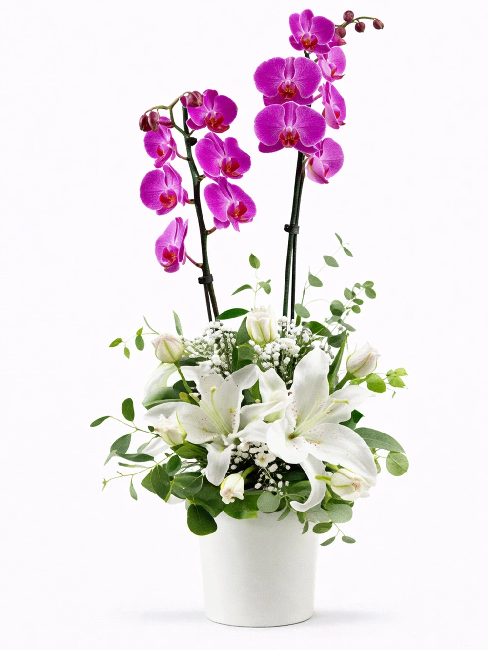 Mor Orkide Beyaz Zerafet - salon-ofis-bitkileri - Açelya Çiçek