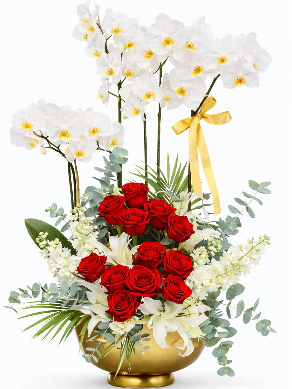 Premium Orchid Rosa - salon-ofis-bitkileri - Açelya Çiçek