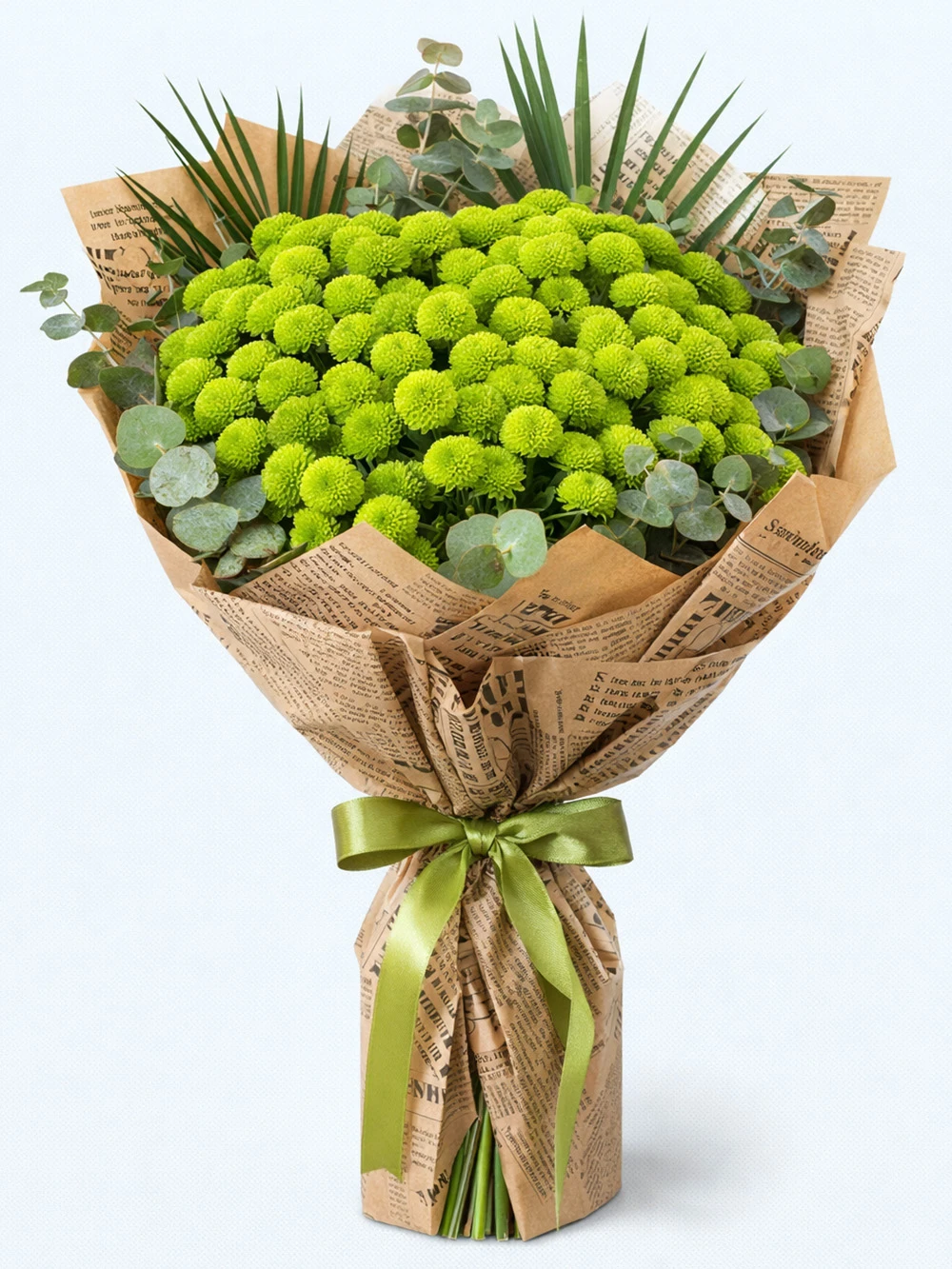 Untitled-1 - salon-ofis-bitkileri - Açelya Çiçek