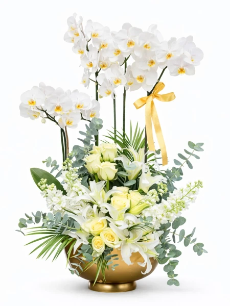 2 Dallı Orkide Premium Aranjman