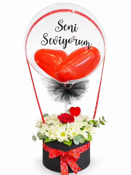 Balonlu Kutuda Papatya Gül