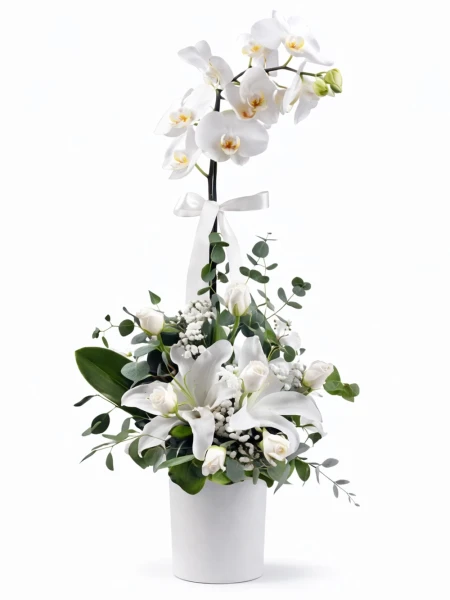 Beyaz Meleğim Orkide Aranjmanı