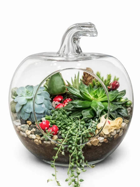 Elma Tasarım Terrarium