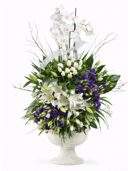 Kraliçe Orkide Aranjmanı