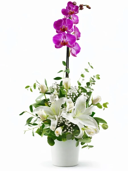 Mor Orkide Beyaz Aranjman