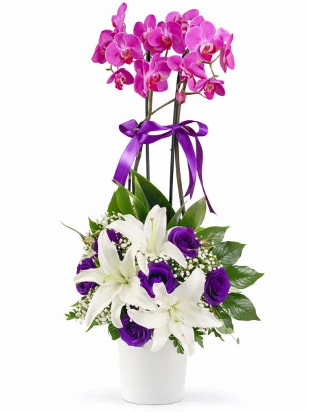 Pembe Orkide Mor Beyaz Aranjman