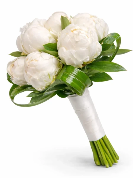 Şakayık Beyaz Canlı Gelin Çiçeği